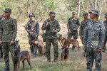 U.S. and Filipino Army Swap Training Techniques for Working Dogs