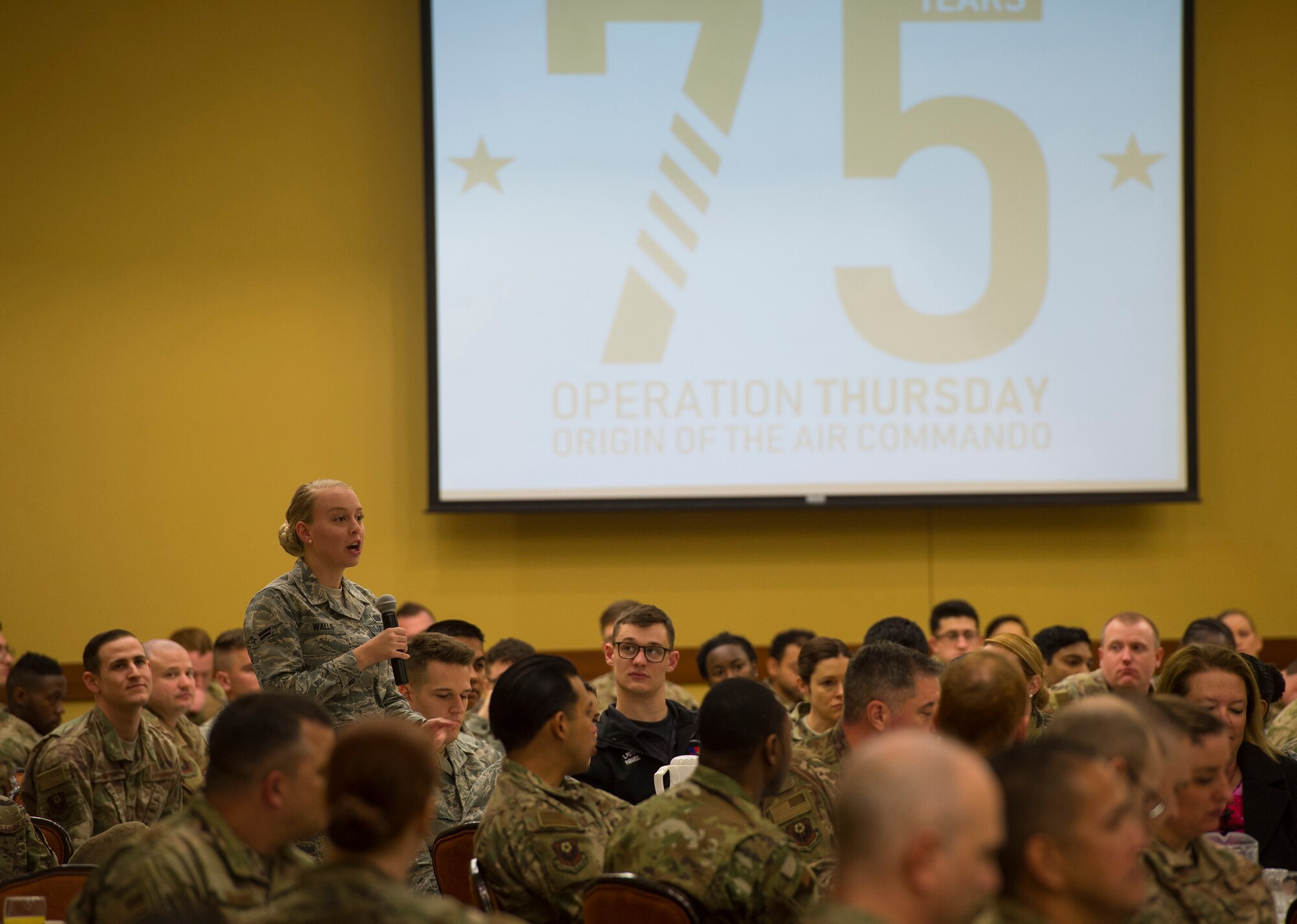 Airman ask questionl/75th anniversary logo in background