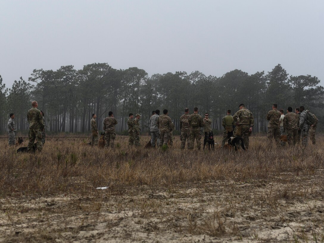 Several teams of military working dog teams stand in an open field