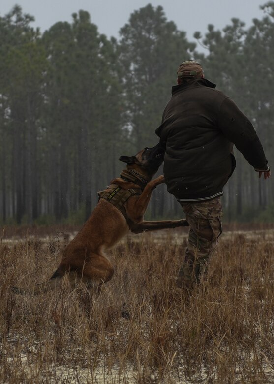 K9 handlers visit Hurlburt to sniff out explosive training with EOD