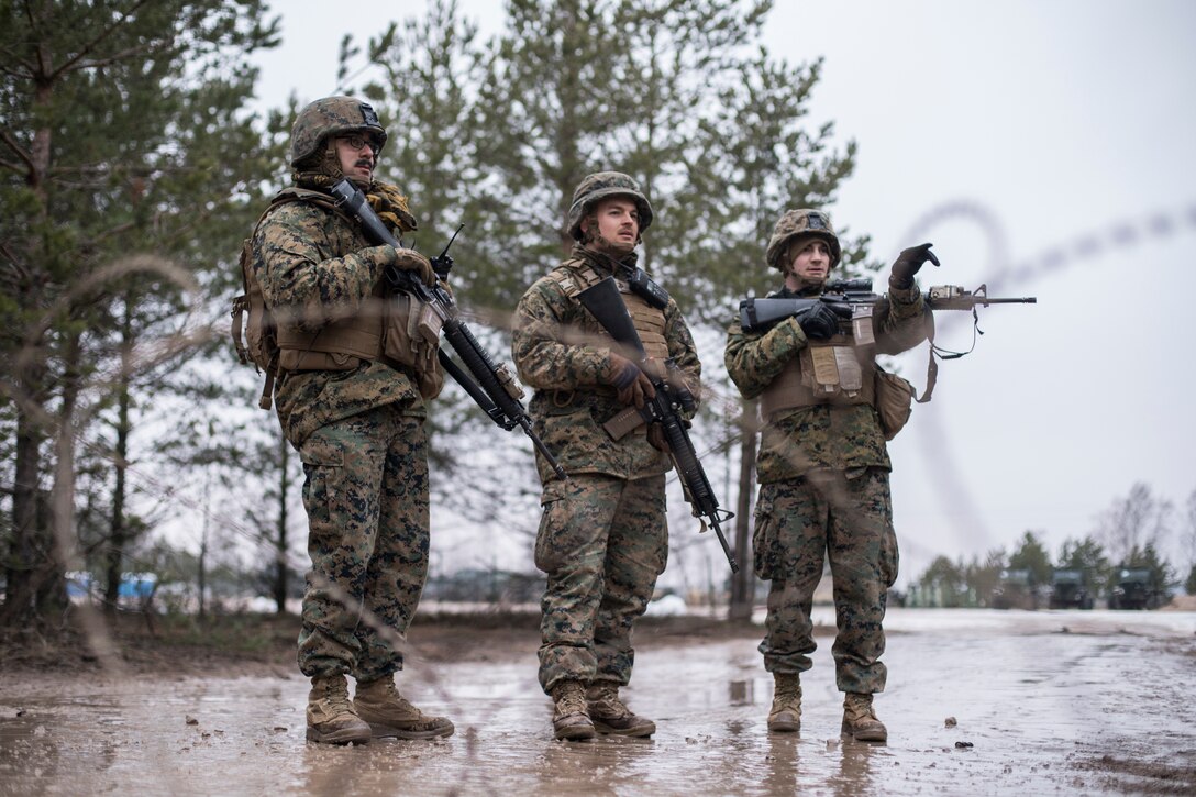 14th Marines Participate in Exercise Dynamic Front 19