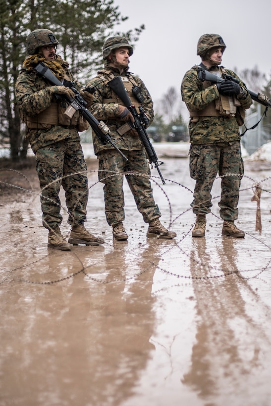 14th Marines Participate in Exercise Dynamic Front 19