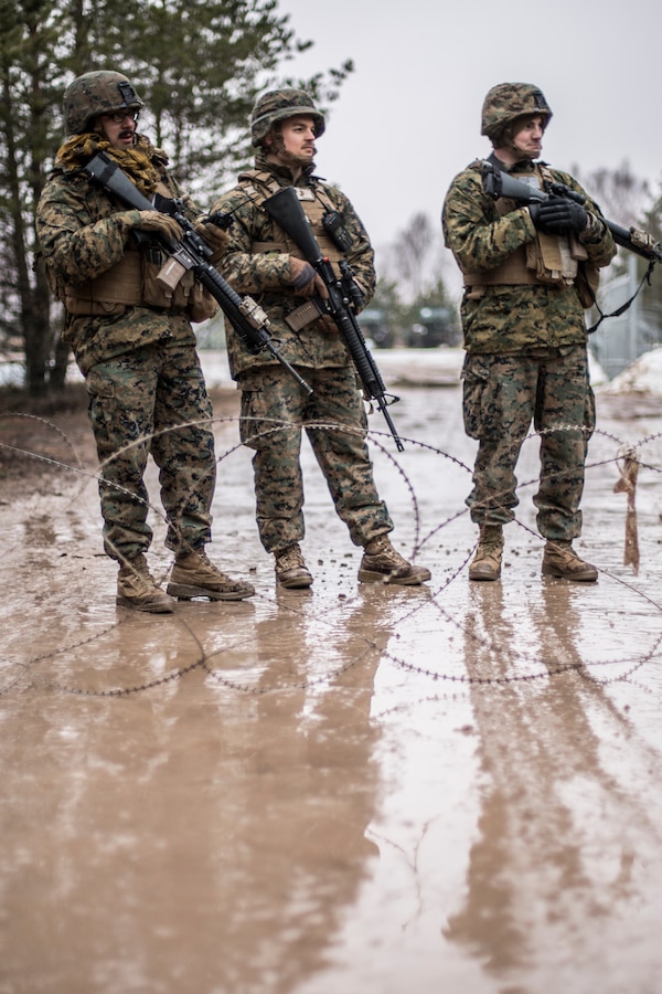 Marines with Headquarters Battery, 14th Marine Regiment, 4th Marine Division, stand duty at a motor pool in Adazi Training Area, Latvia, Feb. 26, 2019, during exercise Dynamic Front 19. Exercise Dynamic Front 19 includes approximately 3,200 service members from 27 nations who are observing or participating from Grafenwoehr Training Area, Germany; Riga, Latvia; and Torun, Poland; during March 2-9, 2019. Dynamic Front is an annual U.S. Army Europe exercise focused on the readiness and interoperability of U.S. Army, joint service, and allied and partner nations’ artillery and fire support working together in a multinational environment. (U.S. Marine Corps photo by Cpl. Niles Lee)