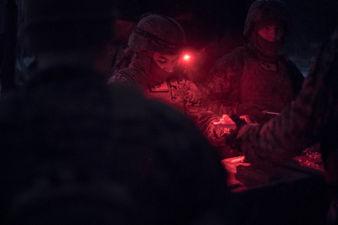 14th Marines Participate in Exercise Dynamic Front 19