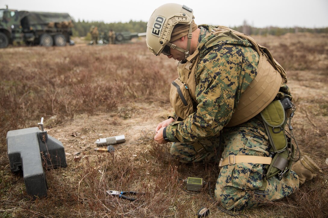 EOD Marines dispose of unexploded ordnance during Dynamic Front 19
