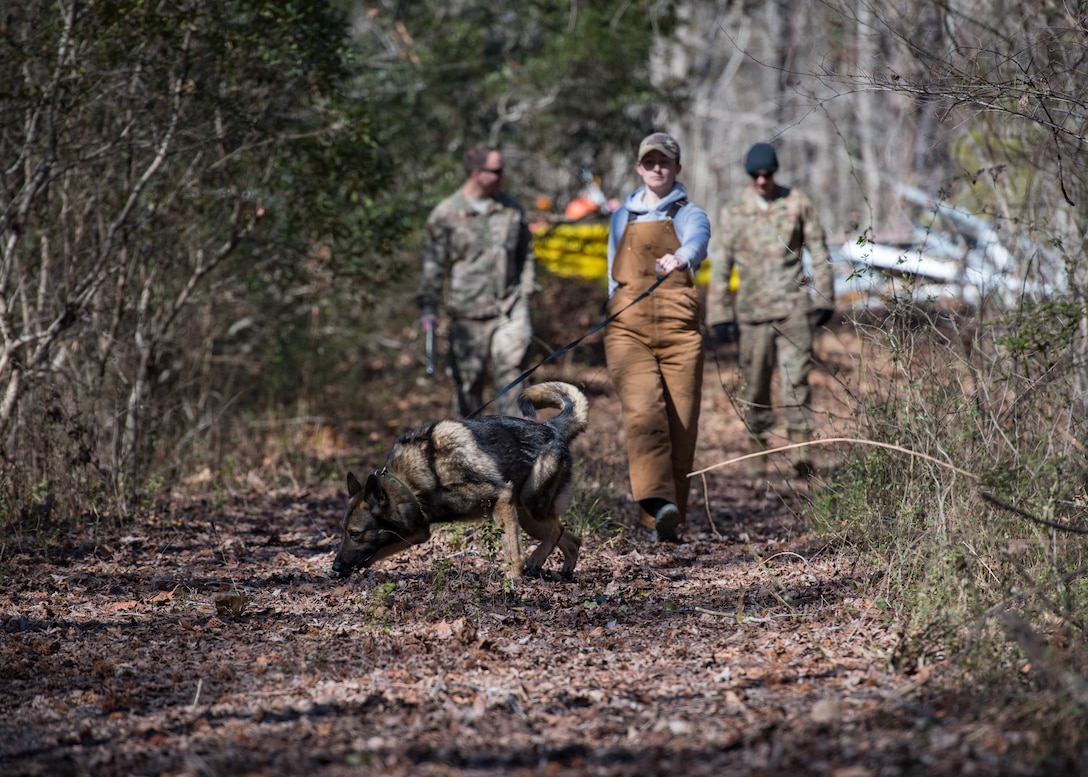 U.S. Air Force Senior Airman Samantha Snyder, 633rd Security Forces Squadron military working dog handler and Rendi, 633rd SFS military working dog, practice explosives detection at Joint Base Langley-Eustis, Virginia, Feb. 26, 2019.