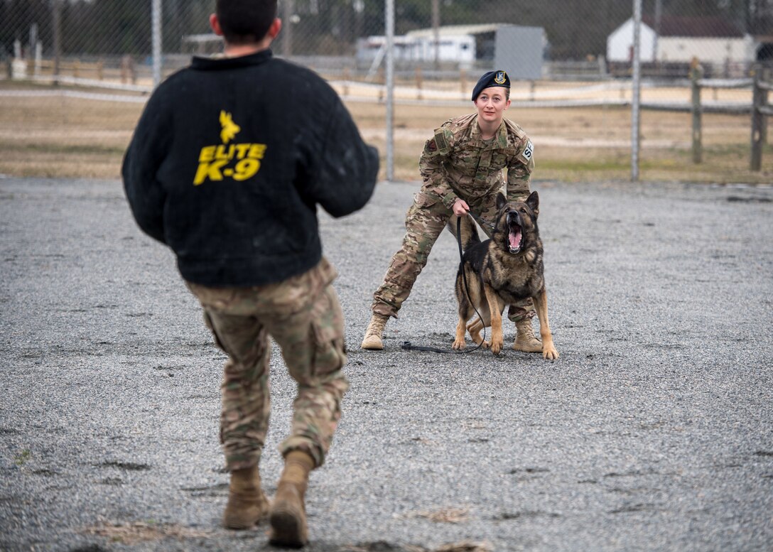 U.S. Air Force Senior Airman Samantha Snyder, 633rd Security Forces Squadron military working dog handler and Rendi, 633rd SFS military working dog prepare to apprehend Senior Airman Anthony Seretis, 633rd Security Forces Squadron military working dog handler, at Joint Base Langley-Eustis, Virginia, March 08, 2019.
