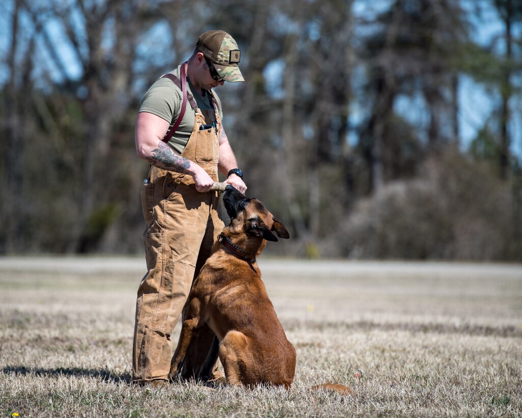 U.S. Army Sgt. Aaron Vinson, Training and Doctrine Command 3rd Military Police Detachment police drug detection dog handler trains military working dog Uunion at Joint Base Langley-Eustis, Virginia, March 11, 2019.