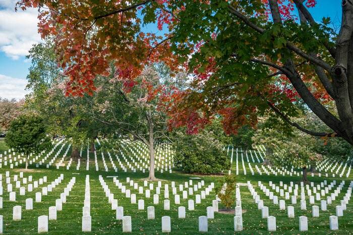 Grave markers in a cemetery
