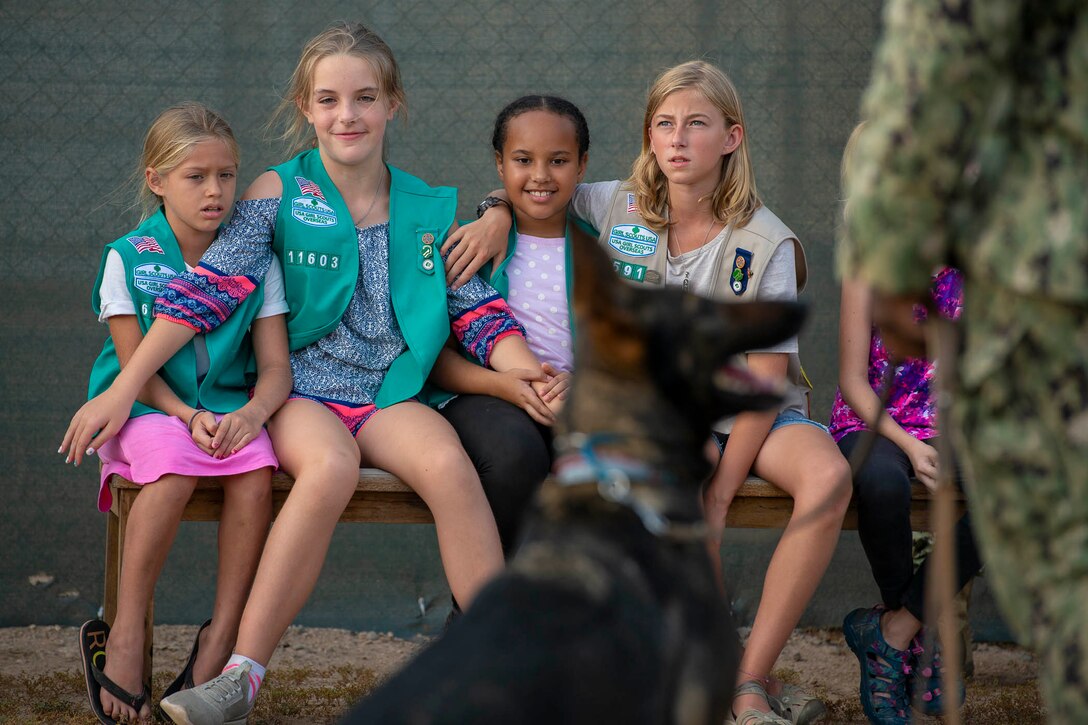 Four Girl Scouts sit in a line facing a dog and a service member.