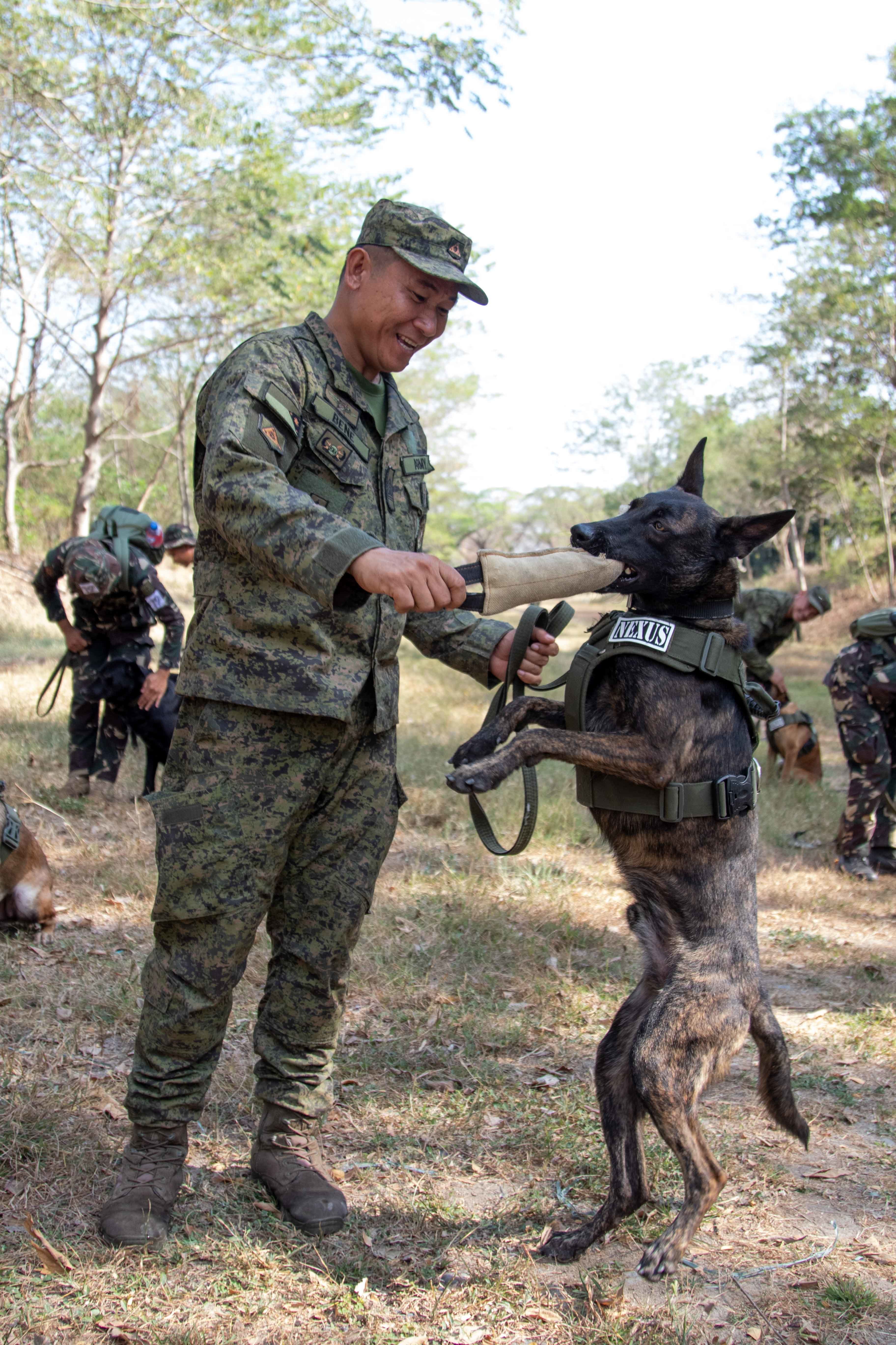 us army k9 unit