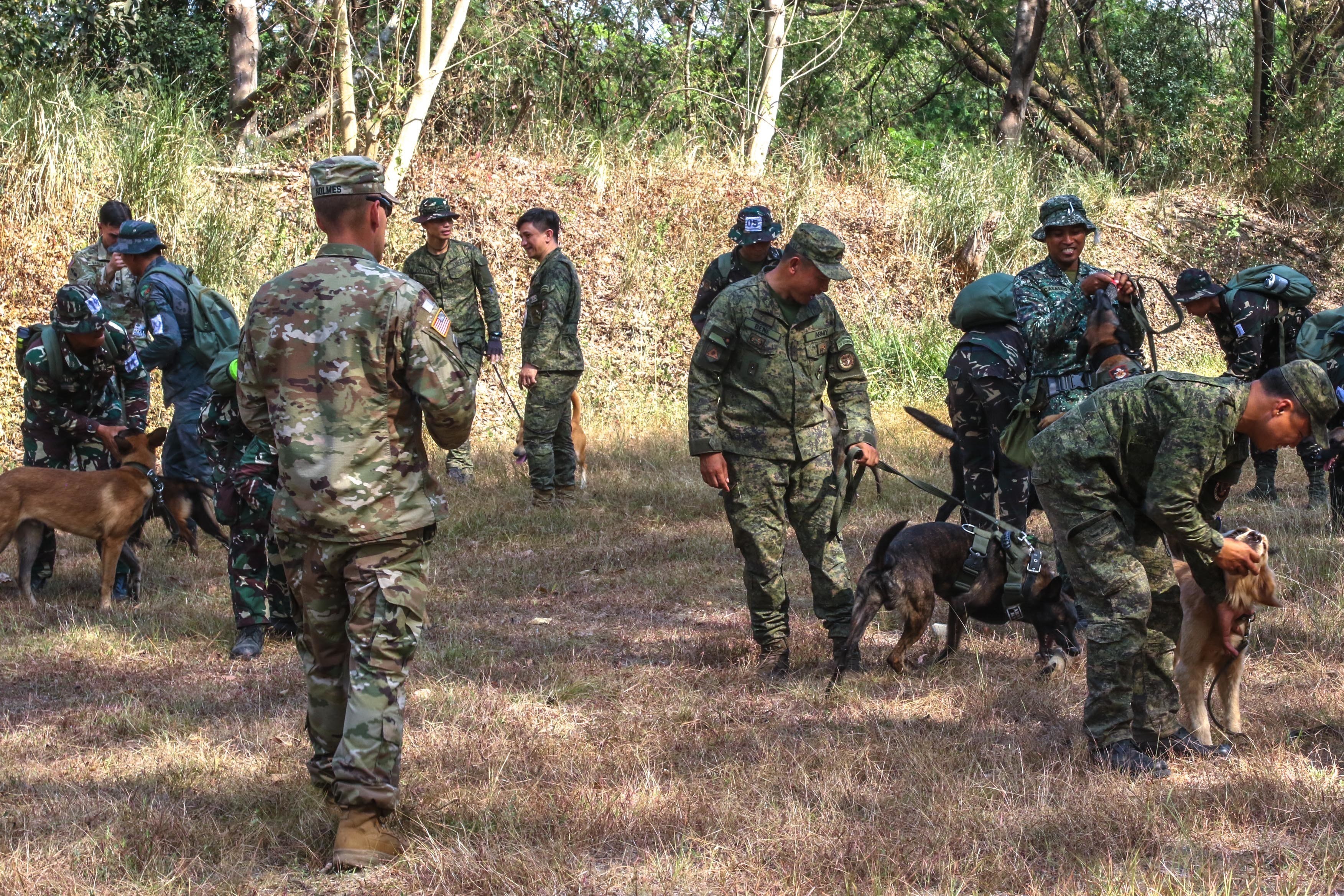 U S And Filipino Army Swap Training Techniques For Working Dogs U S Army Training And Doctrine Command Article Display