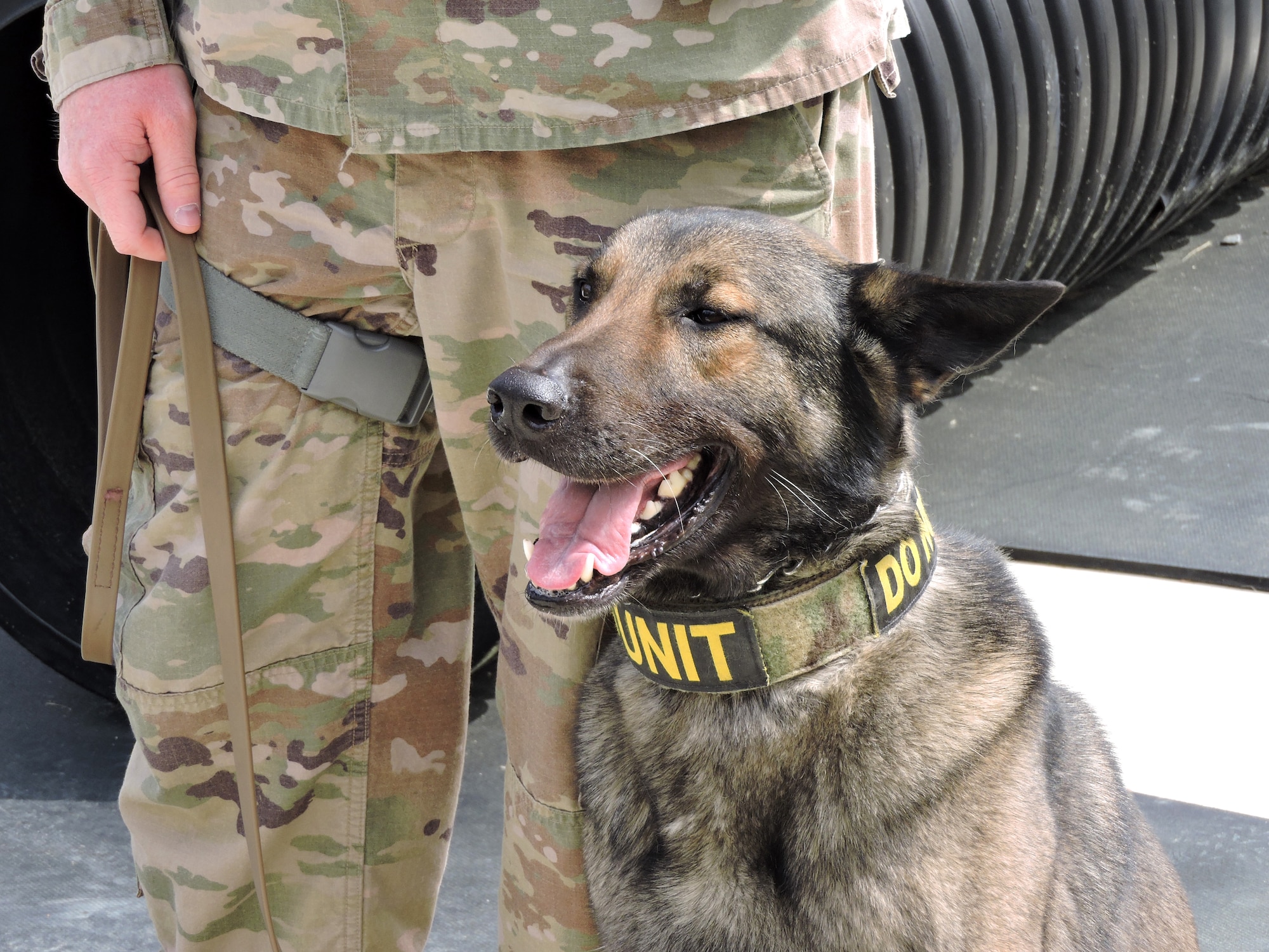 78 SFS hosts local media for National K-9 Veterans Day
