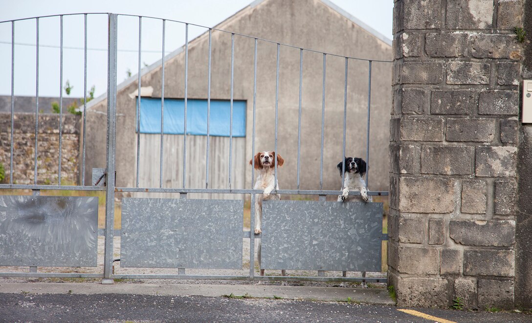 Citizens of Montebourg, France