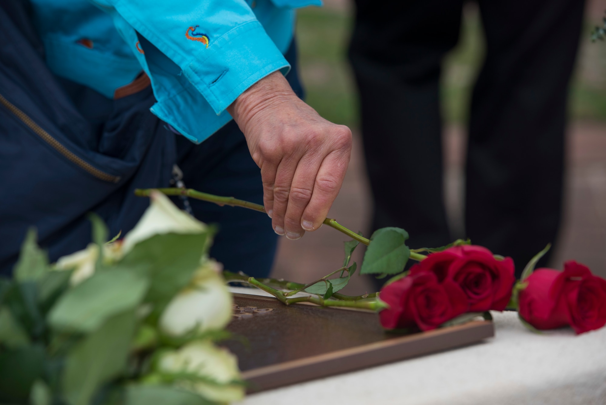 hand placing a rose down