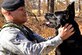 Military working dog featuring Senior Airman Clifton Giles and his dog Jerry