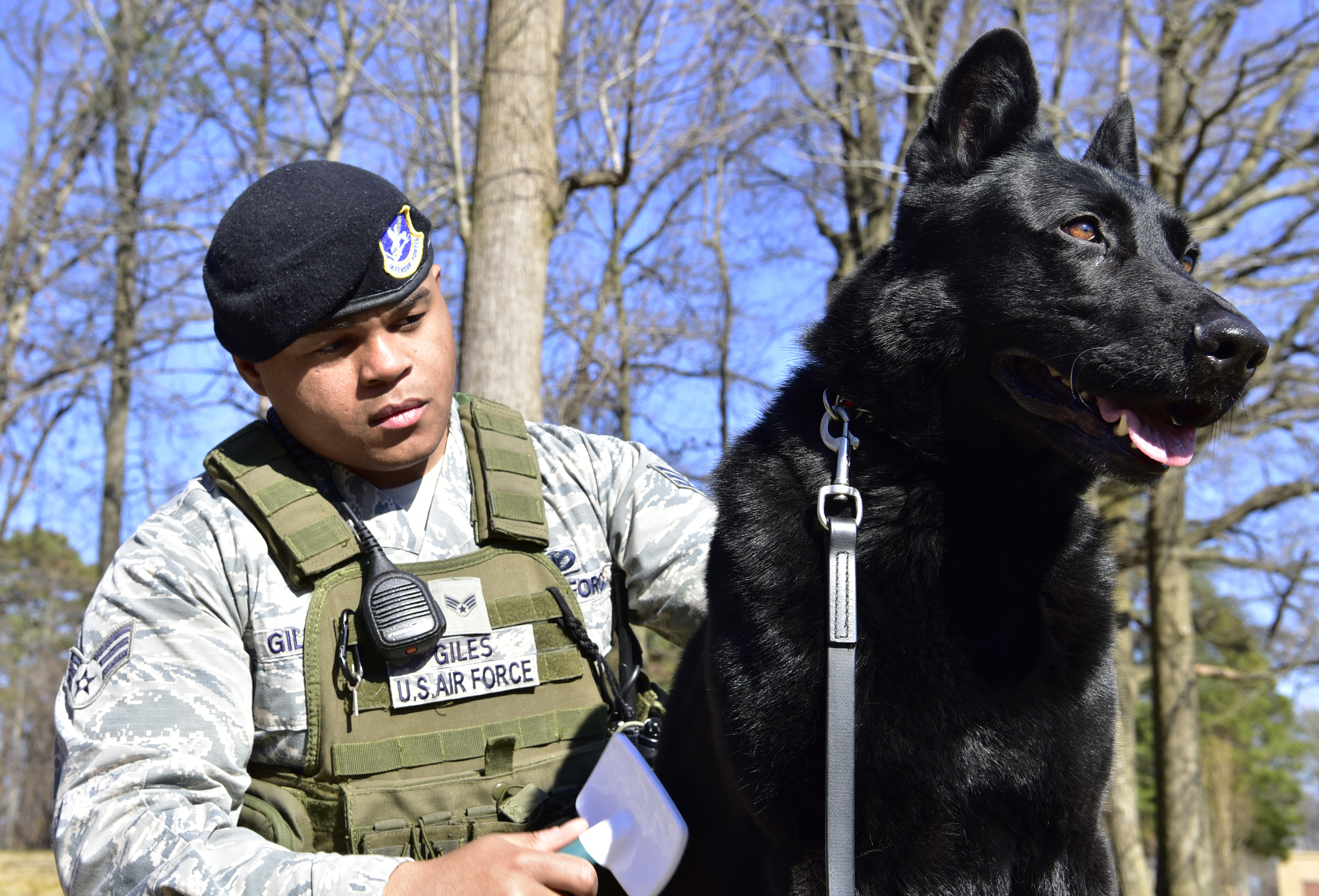 K9 Chronicles > Joint Base Andrews > Article Display