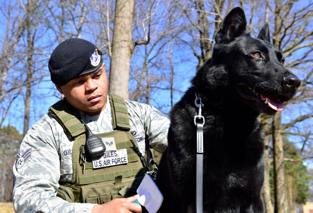 Military working dog featuring Senior Airman Clifton Giles and his dog Jerry