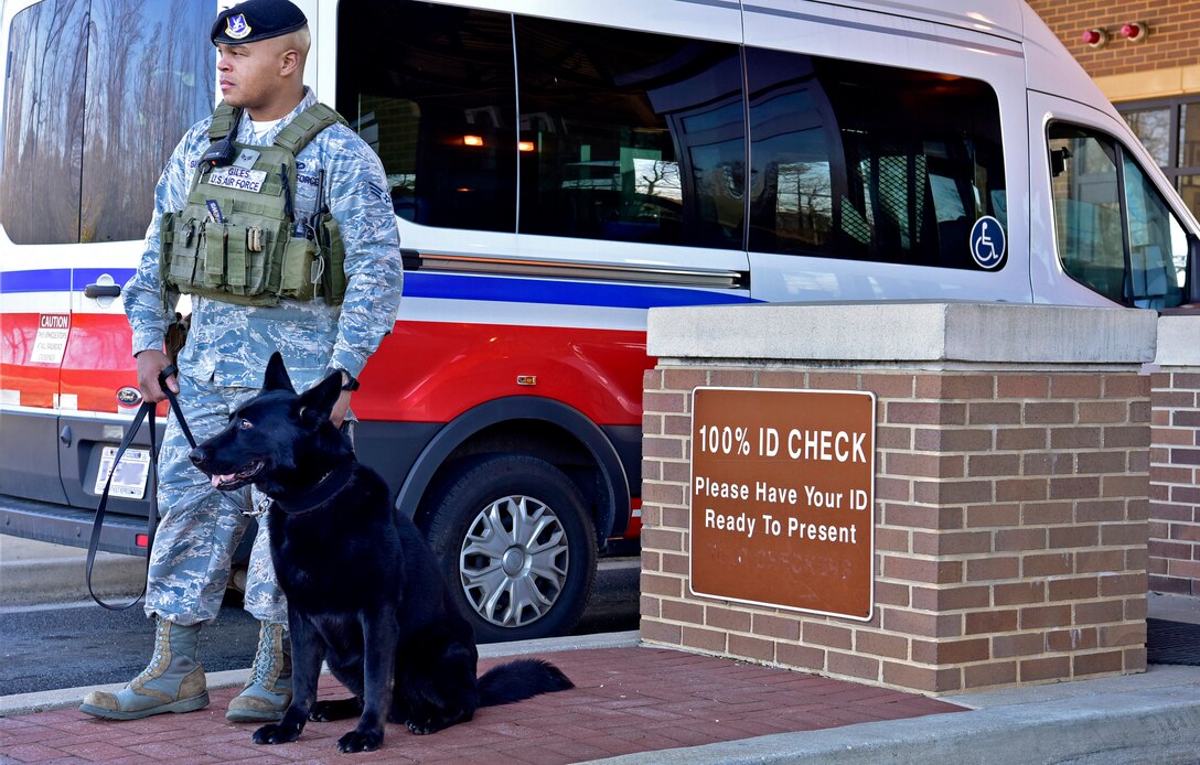 Military working dog featuring Senior Airman Clifton Giles and his dog Jerry