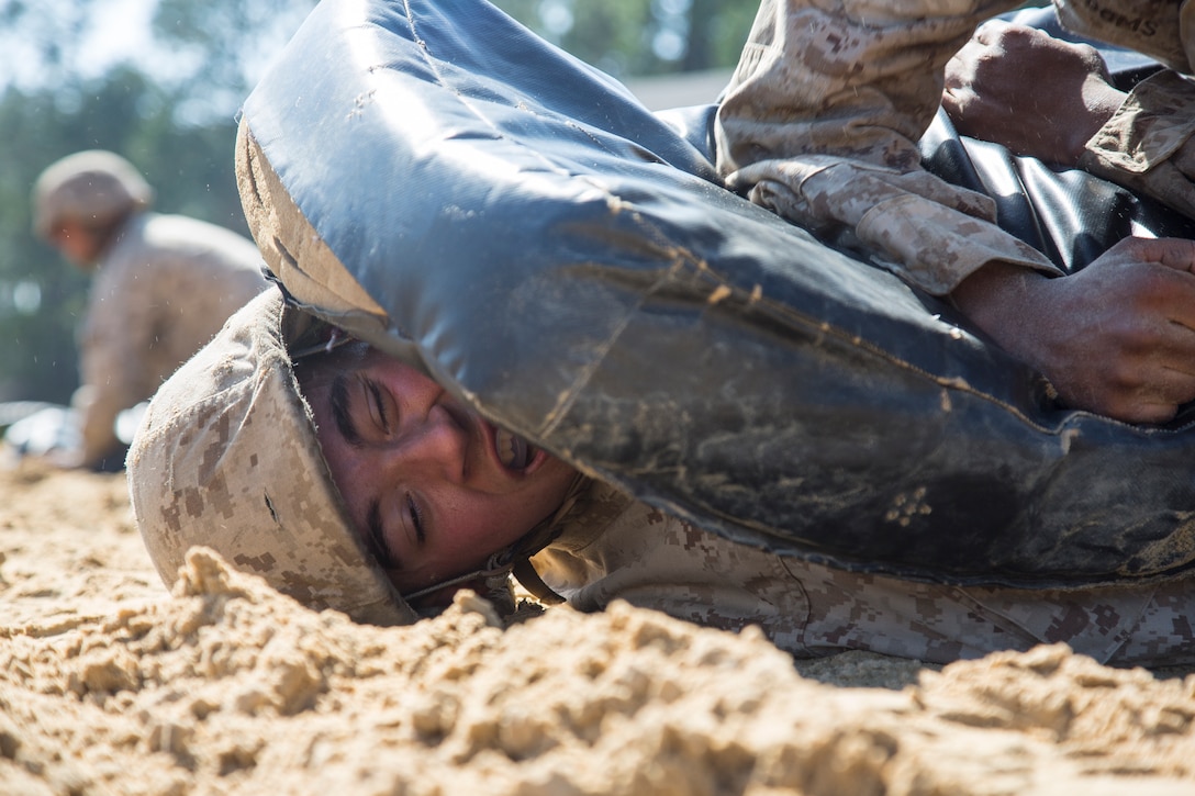Recruits with Echo Company, 2nd Recruit Training Battalion, complete the obstacle course during the Crucible on Parris Island, S.C., Feb. 21, 2019.  The obstacle course challenges recruits to work together as a team and overcome obstacles.  (U.S. Marine Corps Photo by Lance Cpl. Yamil Casarreal)