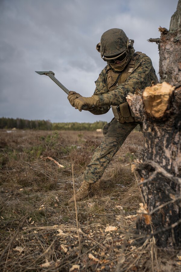 U.S Marine Corps Pfc. Laurel Winn, a cannoneer with Hotel Battery, 3rd Battalion, 14th Marine Regiment, 4th Marine Division, cuts down a tree obstructing their MK19 grenade launcher at Adazi Training Area, Latvia, March 1, 2019, during exercise Dynamic Front 19. Approximately 3,200 participants from 27 nations will take part in the live-fire portion of exercise Dynamic Front 19, March 2-9, 2019, at the U.S. Army's Grafenwoehr Training Area, Germany; as well as in Riga, Latvia; and Torun, Poland. (U.S. Marine Corps photo by Cpl. Niles Lee)