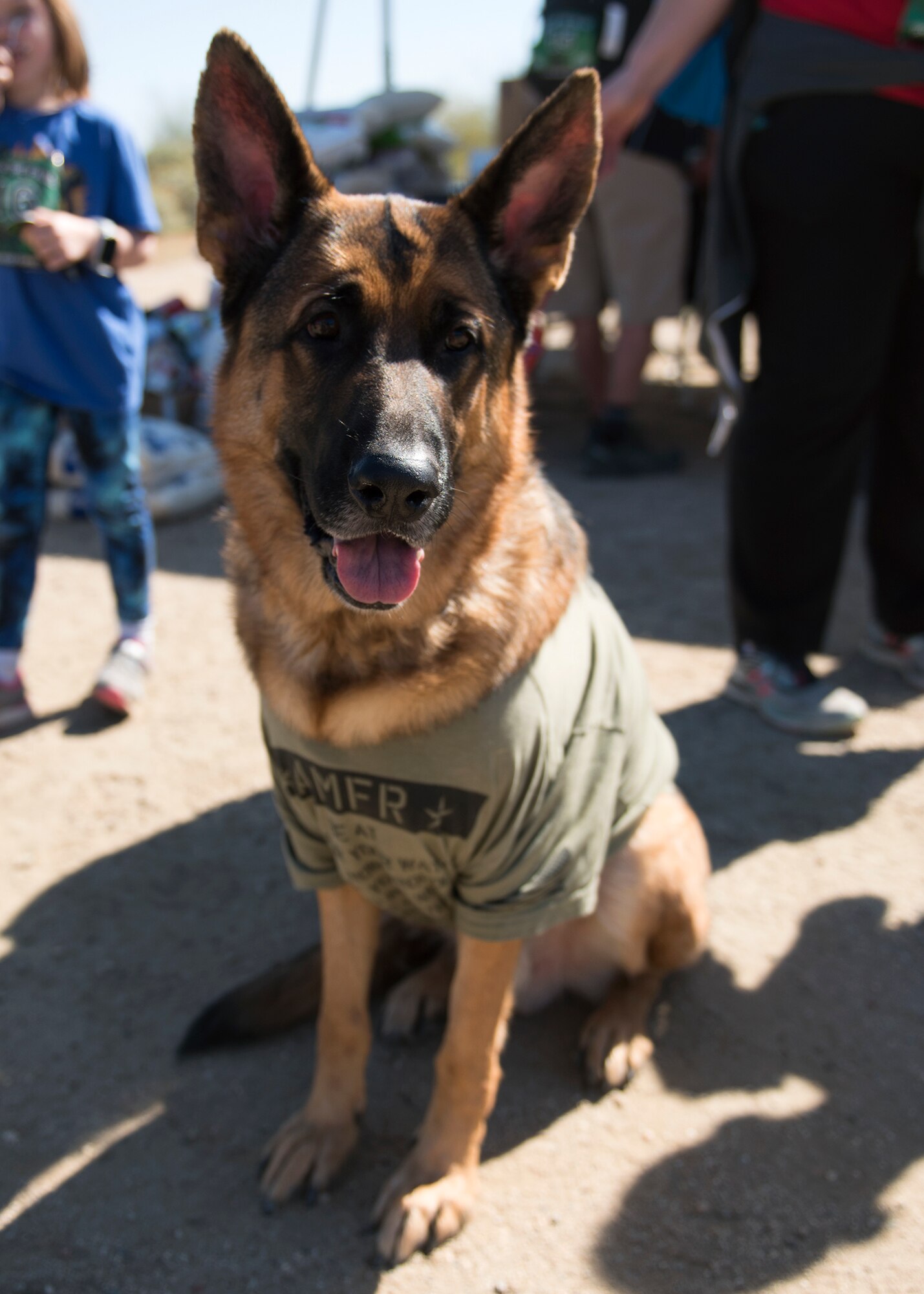 A dog sits at the March of the Fallen ruck march while wearing an event t-shirt in Buckeye, Ariz., March 16, 2019.