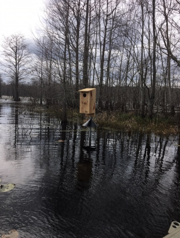 The Natural Resources staff aboard Marine Corps Logistics Base Albany installed new wood duck nesting boxes in the Indian Lake, March 14. Wood ducks are the one of the most common waterfowl species encountered in Georgia and at Indian Lake.
