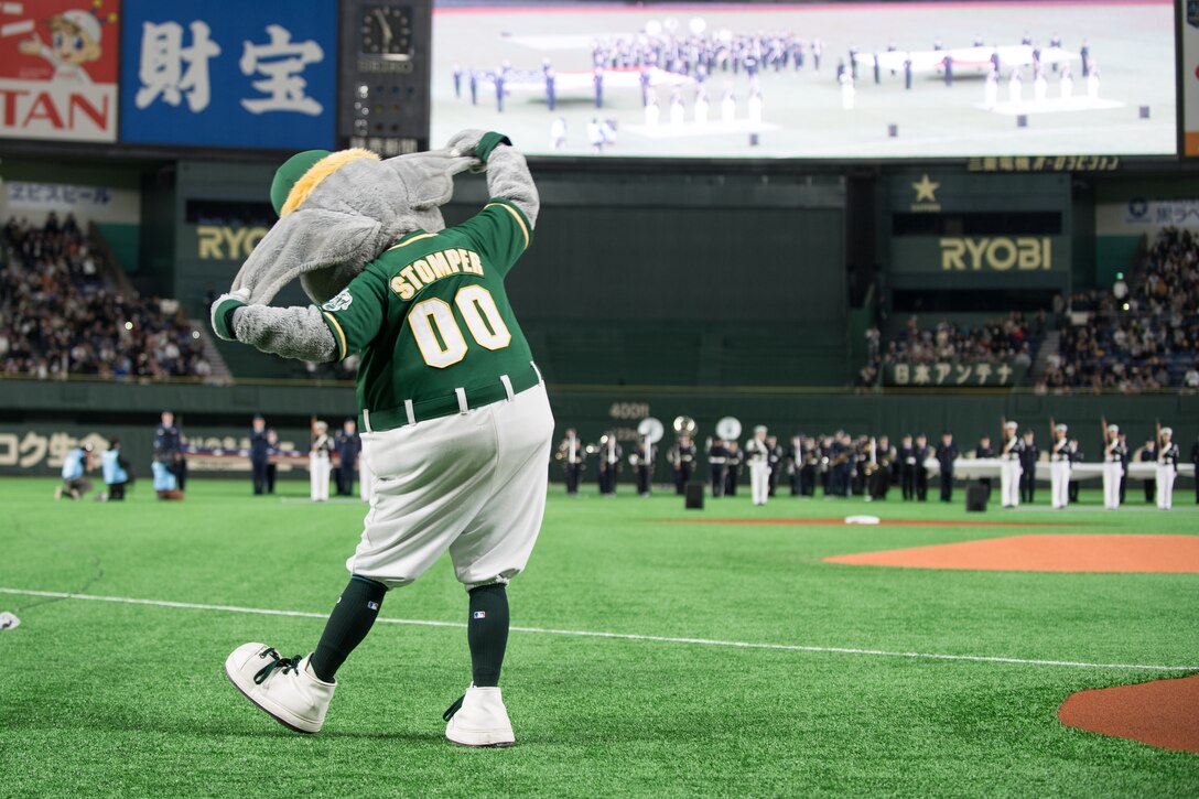 (U.S. Air Force  photo by Staff Sgt. Kyle Johnson)