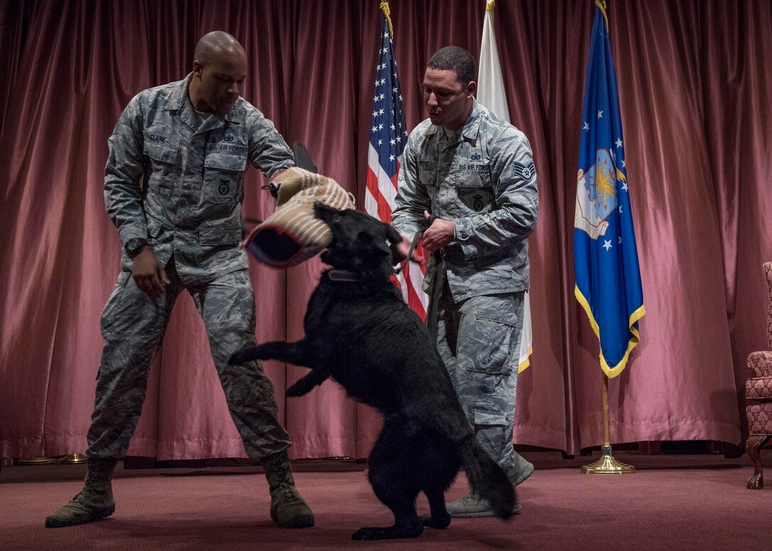 MWD Stella retires after honorable service