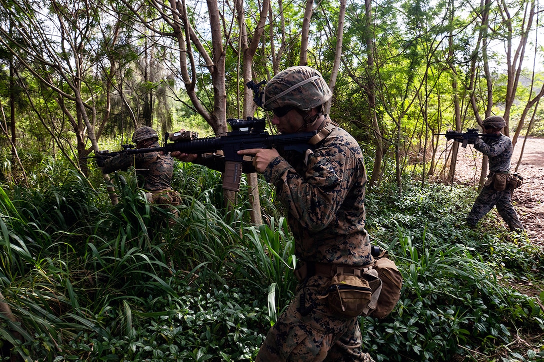 Marines point their weapons into a jungle while on patrol.