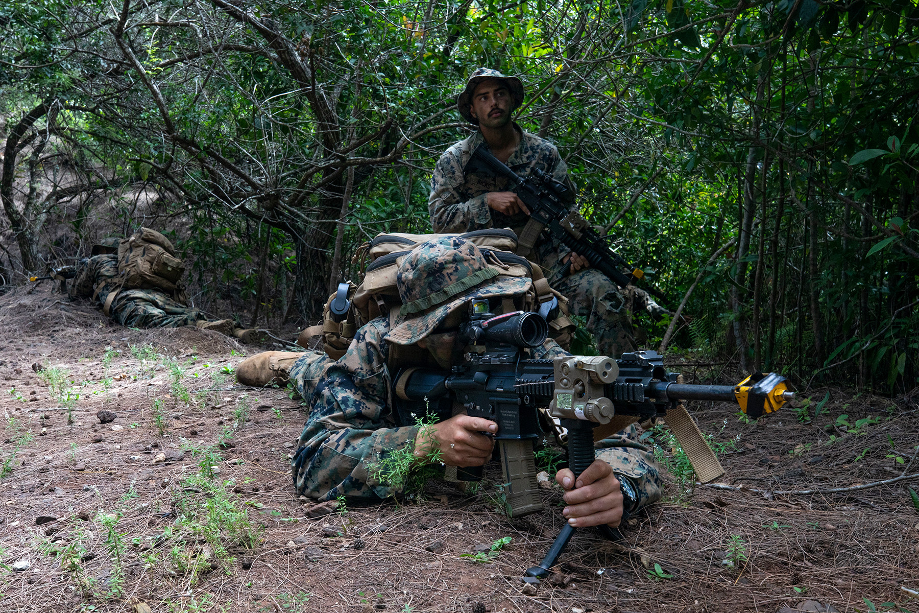 Exercise Bougainville