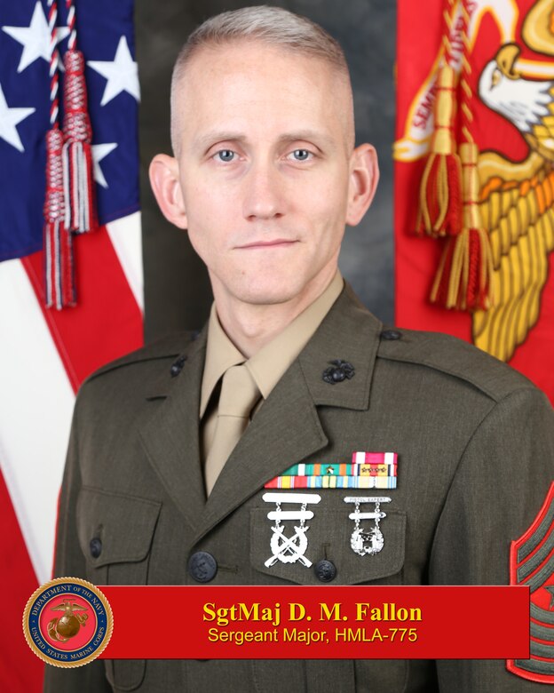 Sergeant Major, Marine Light Helicopter Attack Squadron 775