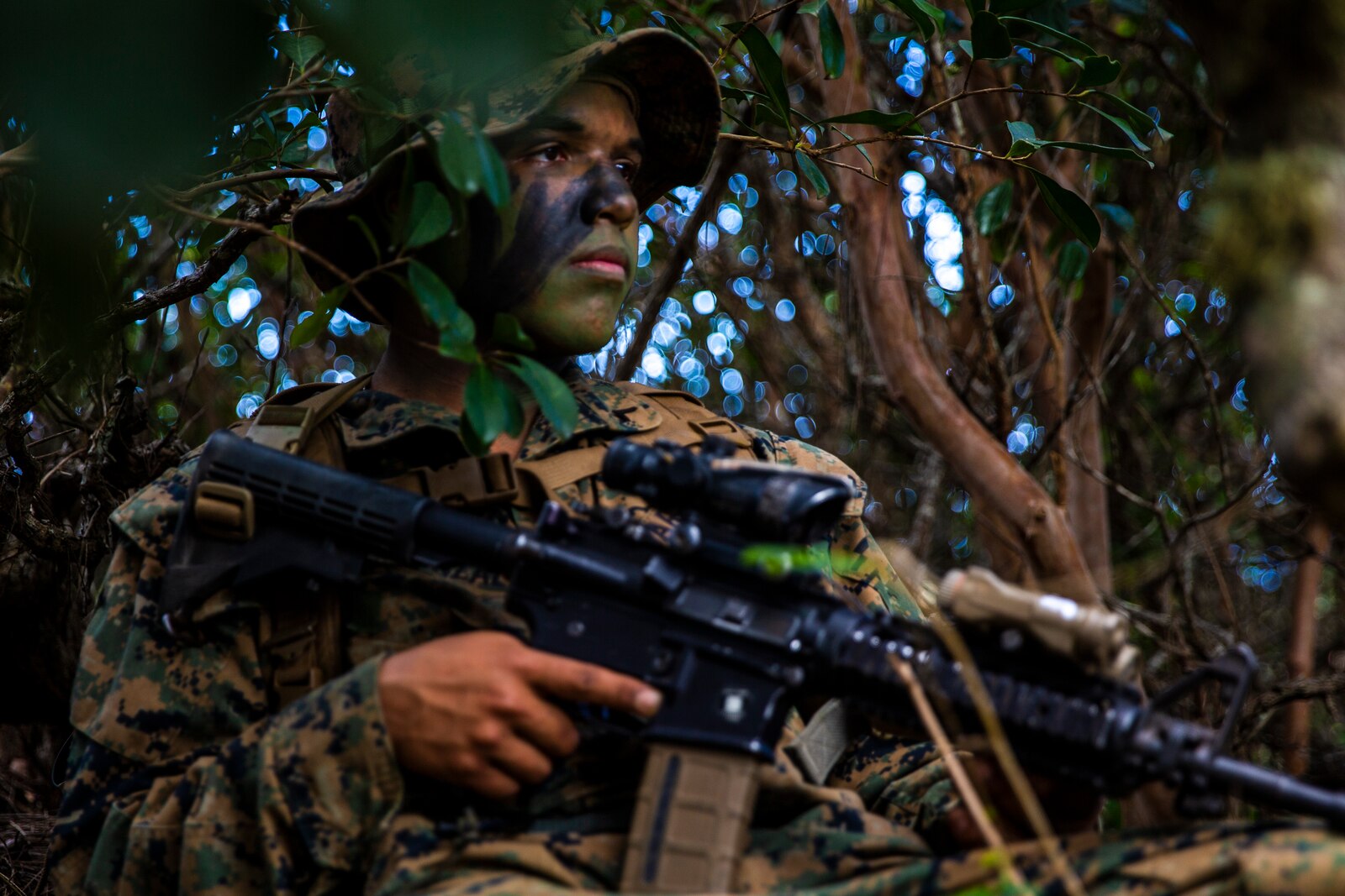 Bougainville I