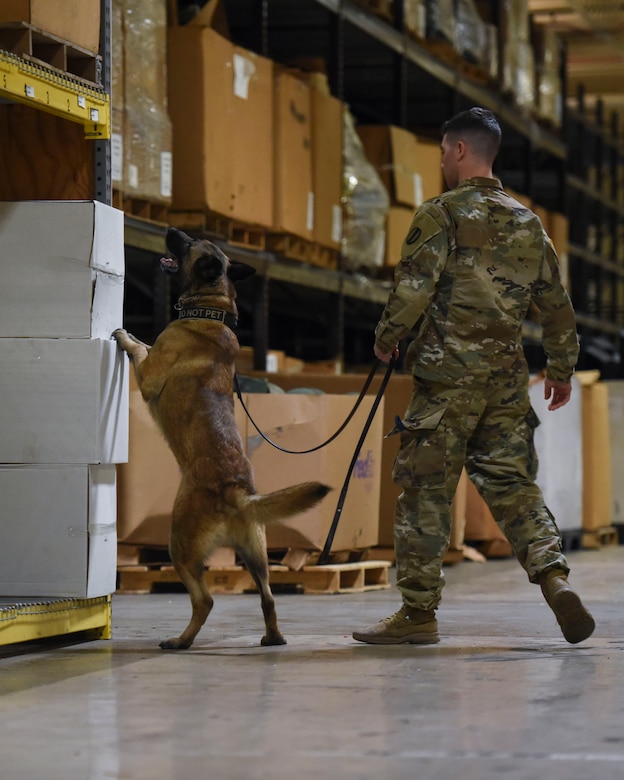 A military working dog handler and his canine partner search a warehouse for peroxide scents at Joint Base Langley-Eustis, Virginia, March 22, 2019.