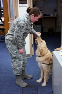 Bolt, the therapy dog, helps 176th Wing.