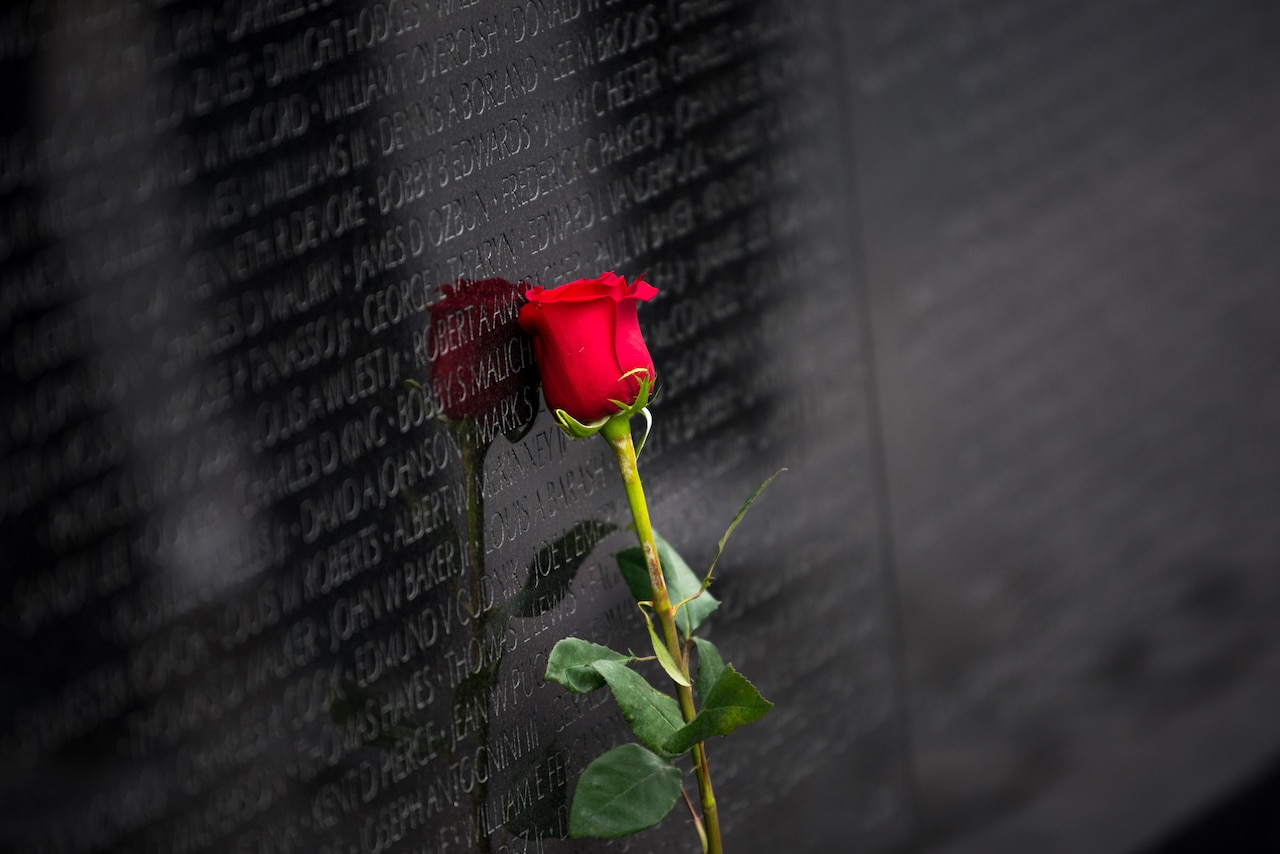 A rose leans against The Wall.