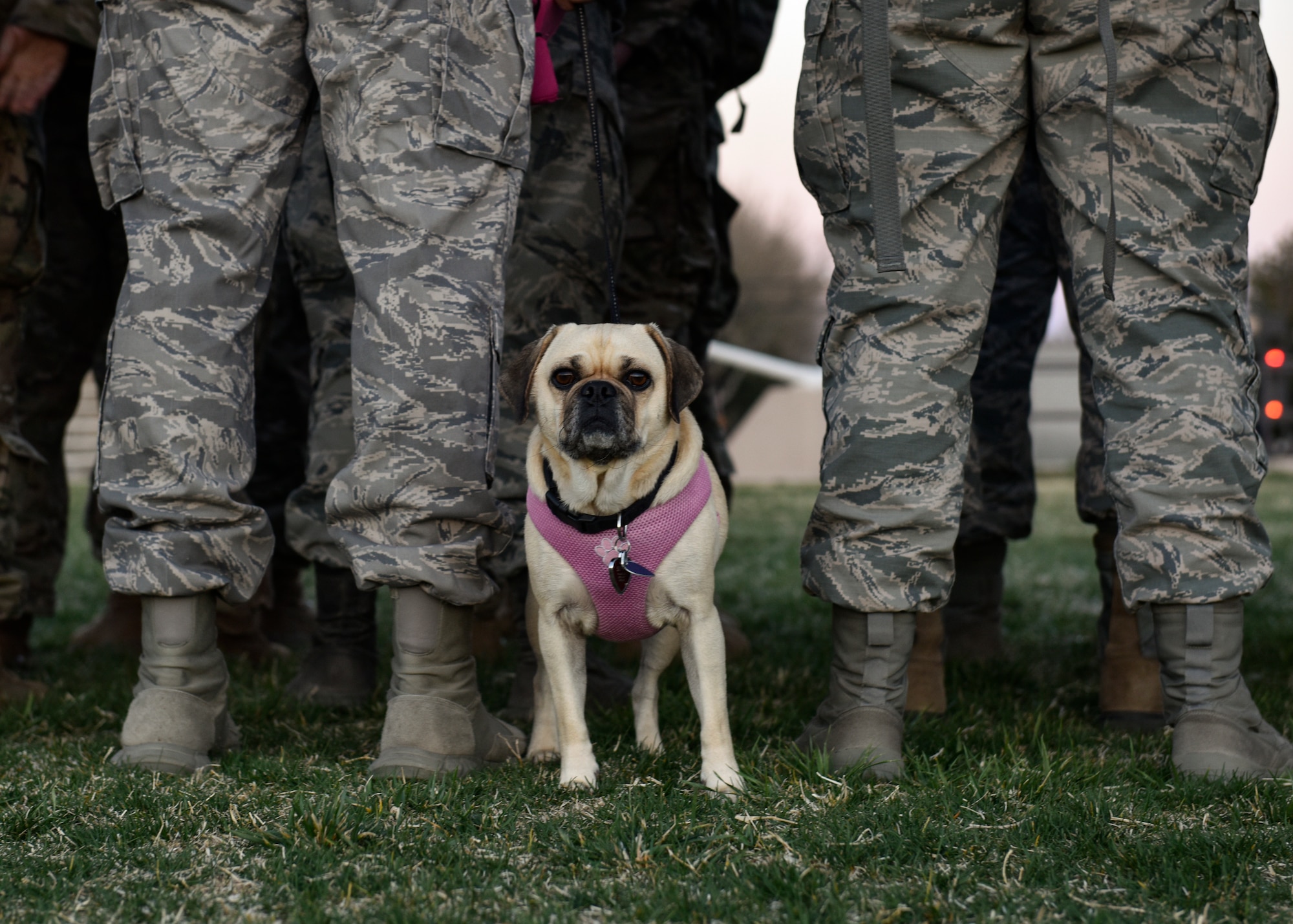 The 377th Security Forces Squadron Suicide Awareness Ruck March was created to support The Brave Badge Initiative Facebook page. The Facebook page was created due to the increased rates in suicide in the security forces career field in the past year and aims to give Defenders another place to go to when they are struggling with mental health issues. (U.S. Air Force photo by Airman 1st Class Austin J. Prisbrey)