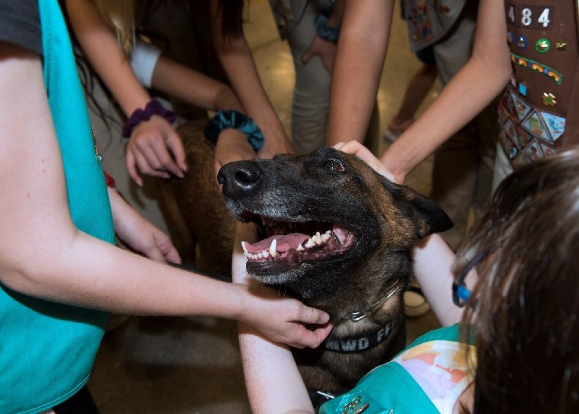 A group of Girl Scouts pet a Military Working Dog assigned to the 56th Security Forces Squadron at Luke Air Force Base, Ariz., March 27, 2019. The Girl Scout’s visit to the base included a MWD demonstration, where the dog and its handler demonstrated how they work together as a team to protect the Airmen and assets of the base. (U.S. Air Force photo by Airman 1st Class Leala Marquez)