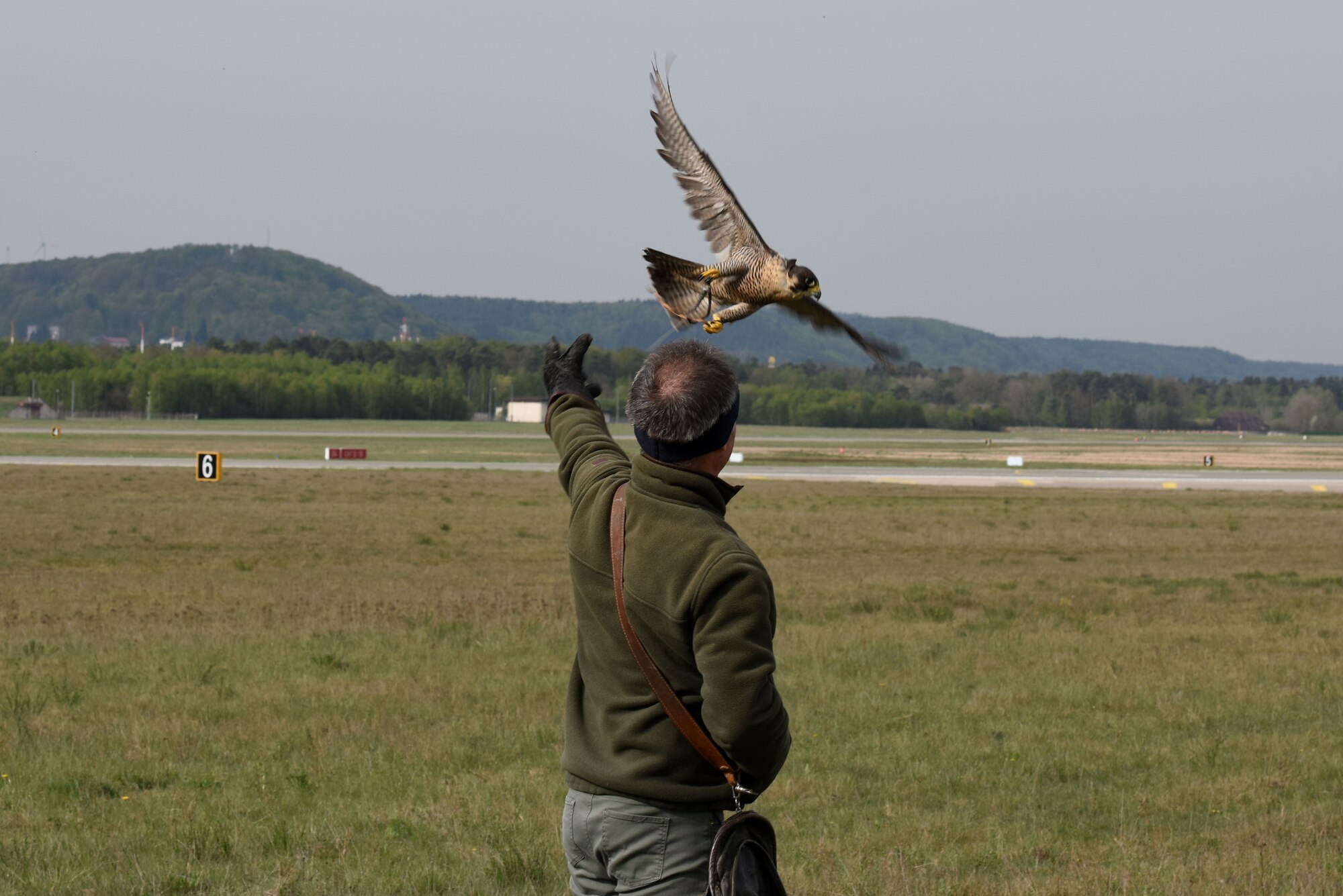 Gerhard Wagner, 86th Operations Support Squadron Airfield Management Office falconer, releases his falcon during an Earth Day event on Ramstein Air Base, Germany, April, 23, 2019. Wagner showed how natural resources help the Ramstein mission by allowing his falcon to scare away birds from the flight line.