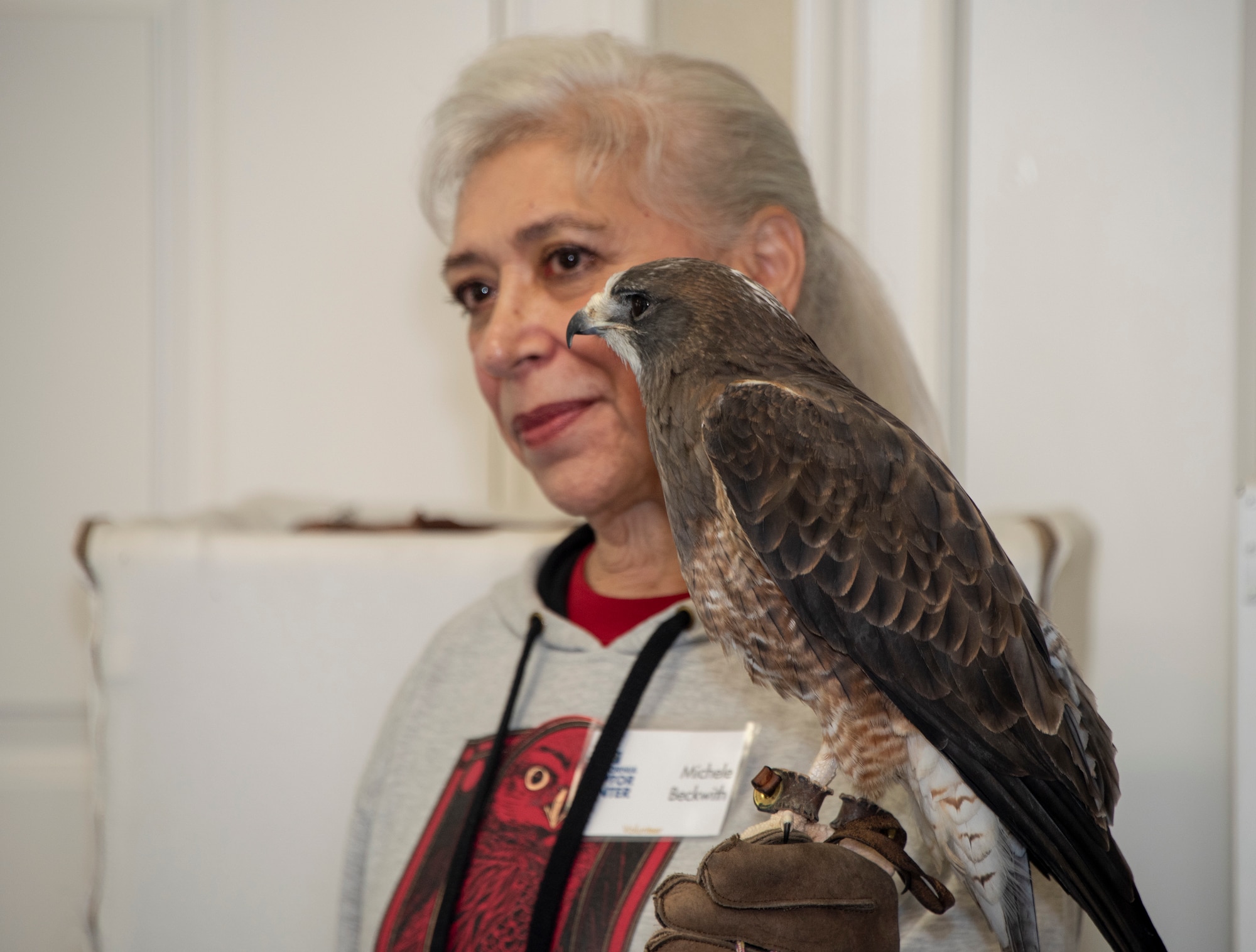 Michele Beckwith, a volunteer with the California Raptor Center, holds Grasshopper, a Swainson's hawk, one of the centers’ resident birds, April 24, 2019, at Travis Air Force Base, California.  As part of the Earth Day event, participants were educated on raptor biology, rehabilitation, conservation and species identification during the CRC visit. (U.S. Air Force photo by Heide Couch)