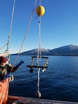 Innovative Underwater Camera System Provides Unique View of Alaska's Murky Depths