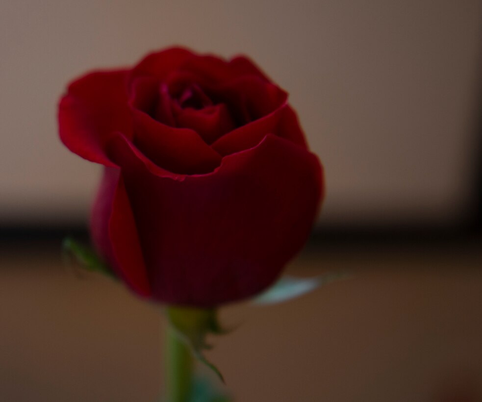Roses are present for all military dependent scholarship winners at Shaw Air Force Base, S.C., May, 1, 2019.
