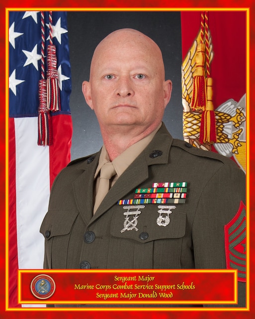 Sergeant Major Donald S. Wood > Training Command > Biography