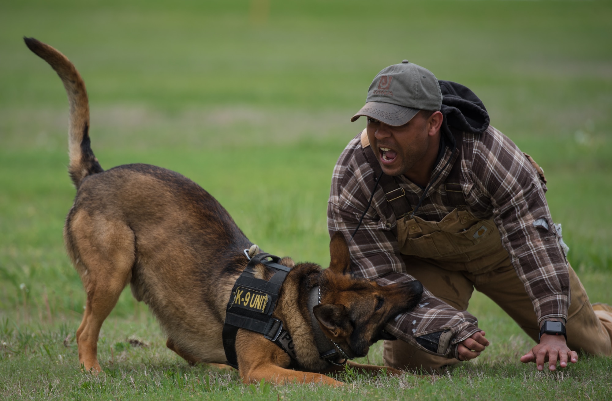 An Airman participates in a MWD demonstration