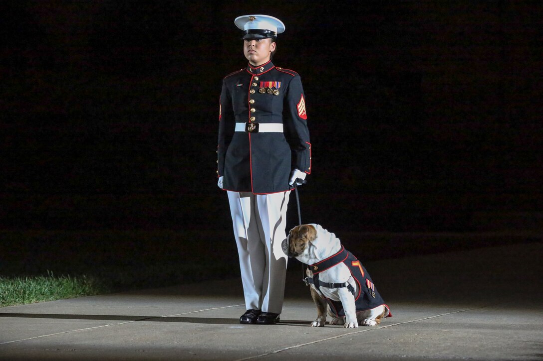 Sergeant Dhilexa Dejesus, mascot handler, Marine Barracks Washington D.C., stands at the position of attention with the official Marine Corps mascot, Pfc. Chesty XV, during a Friday Evening Parade at the Barracks, May 10, 2019.The guest of honor for the parade was the Honorable, David L. Norquist, Under Secretary of Defense (Comptroller)/Chief Financial Officer and performing the duties of the Deputy Secretary of Defense and the hosting official was the Assistant Commandant of the Marine Corps, Gen. Gary L. Thomas. (U.S. Marine Corps photo by Pfc. Allen Sanders)