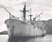 A photo of the USS Serpens