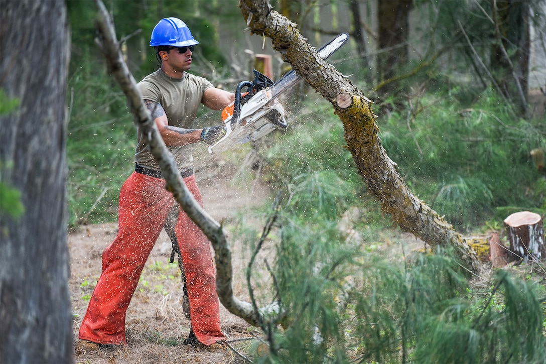 An airman cuts a tree in a wooded area.