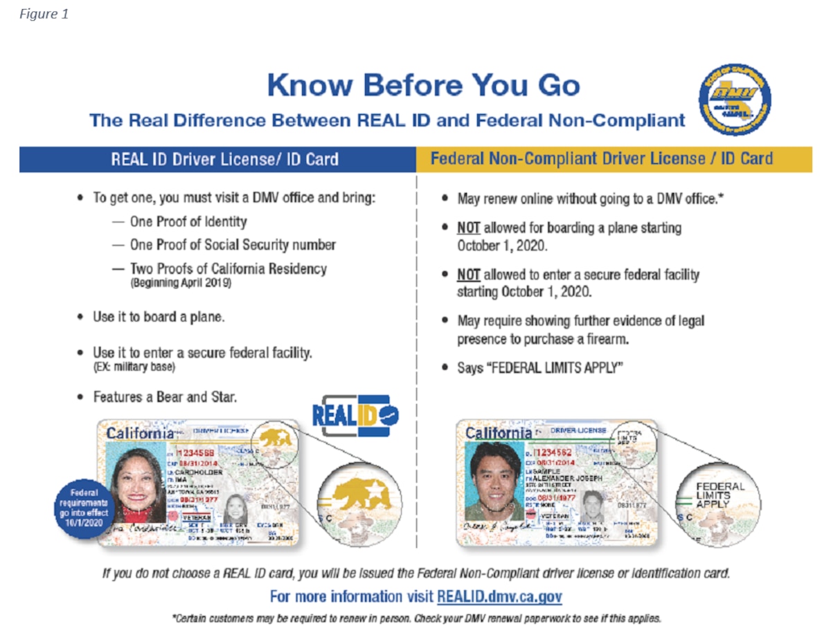 Real ID Driver's License: What Is It and Do You Need One? – Forbes Advisor