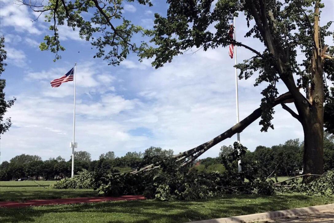 Downed trees are contrasted by upright flagpoles.