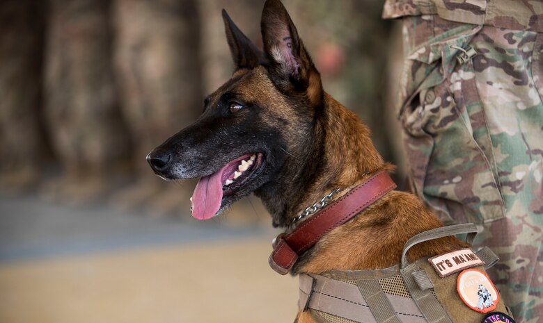 Members of the 379th Expeditionary Security Forces Squadron hosted an opening ceremony for National Police Week 2019 on March 13, 2019. In 1962, President John F. Kennedy signed a proclamation designating May 15 as Peace Officers Memorial Day and the week in which it falls as National Police Week. The week aims to pay homage to law enforcement officers who have paid the ultimate sacrifice in the line of duty.